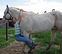 Giefer Ranch Quarter Horses Kansas